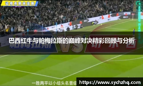 yy易游