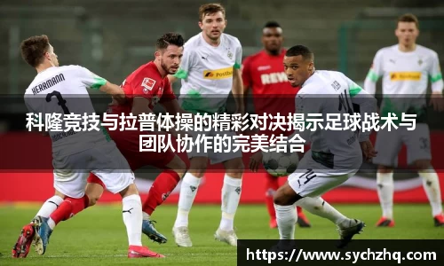yy易游